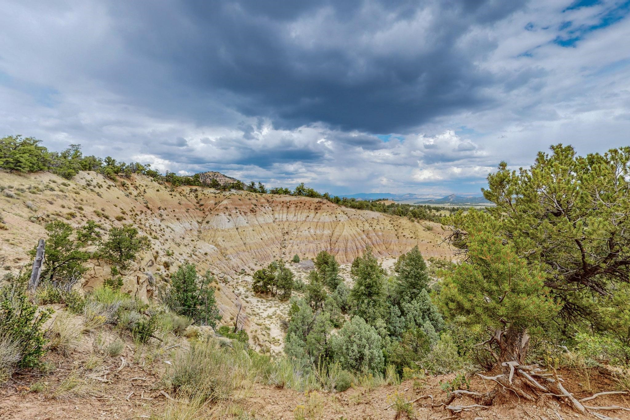 61 Rincon Road, Regina, New Mexico image 44