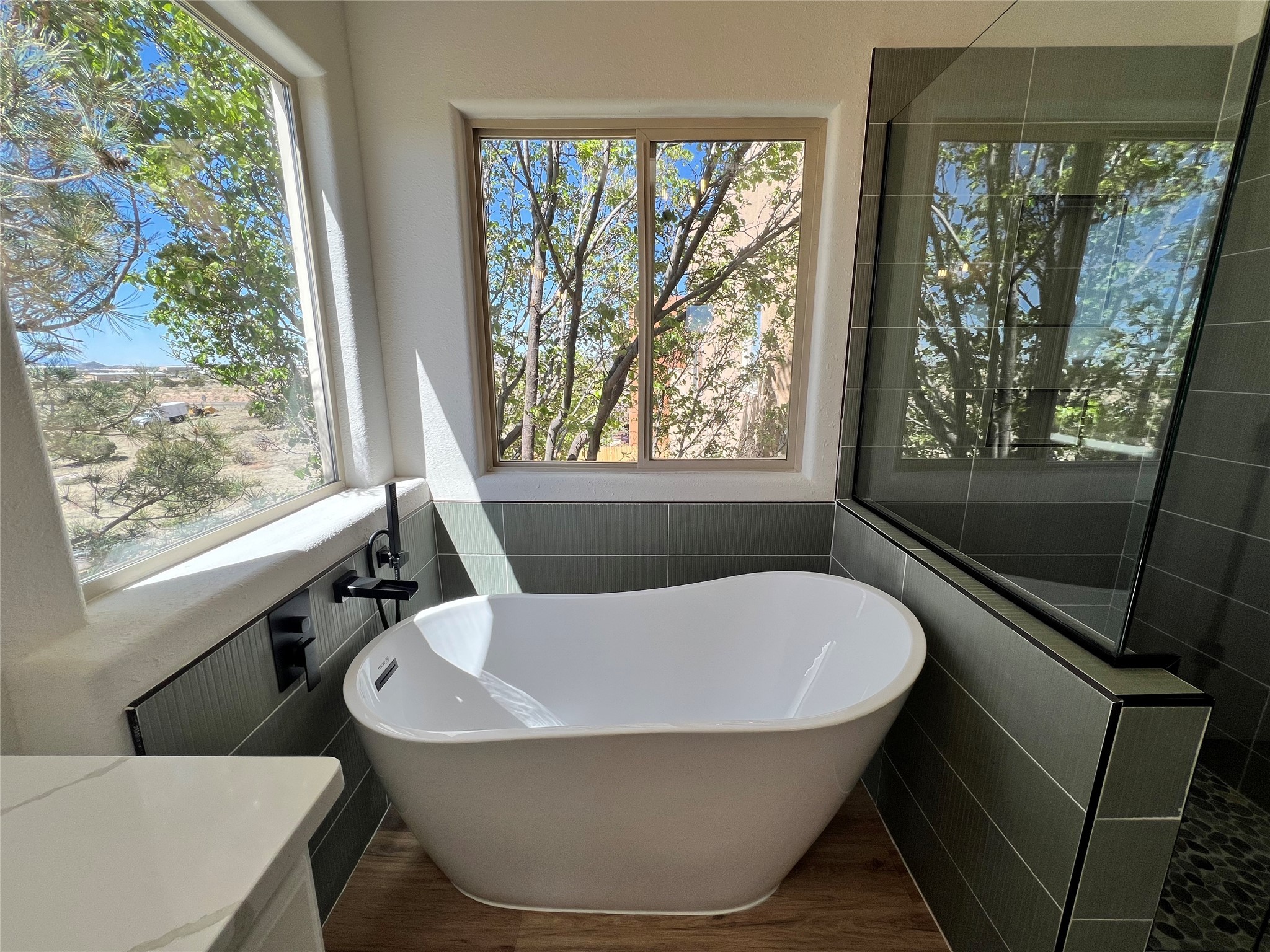 Residential, Santa Fe, New Mexico image 12