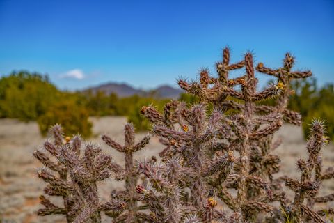Tiny photo for 49 Blue Agave/Grenfell Ranch, Cerrillos, NM 87010 (MLS # 202600898)