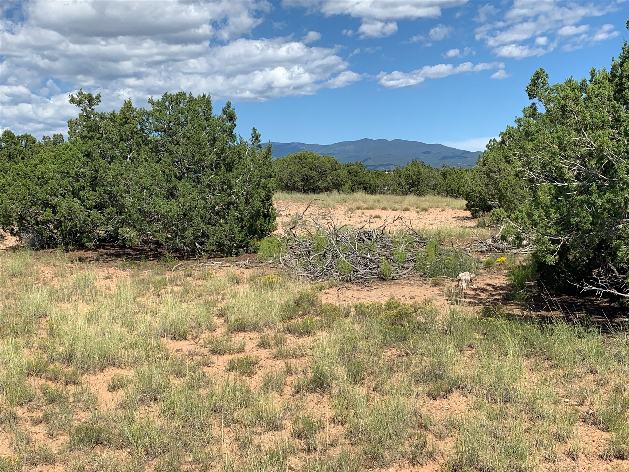 26 E Camino Del Cielo, Santa Fe, New Mexico image 3