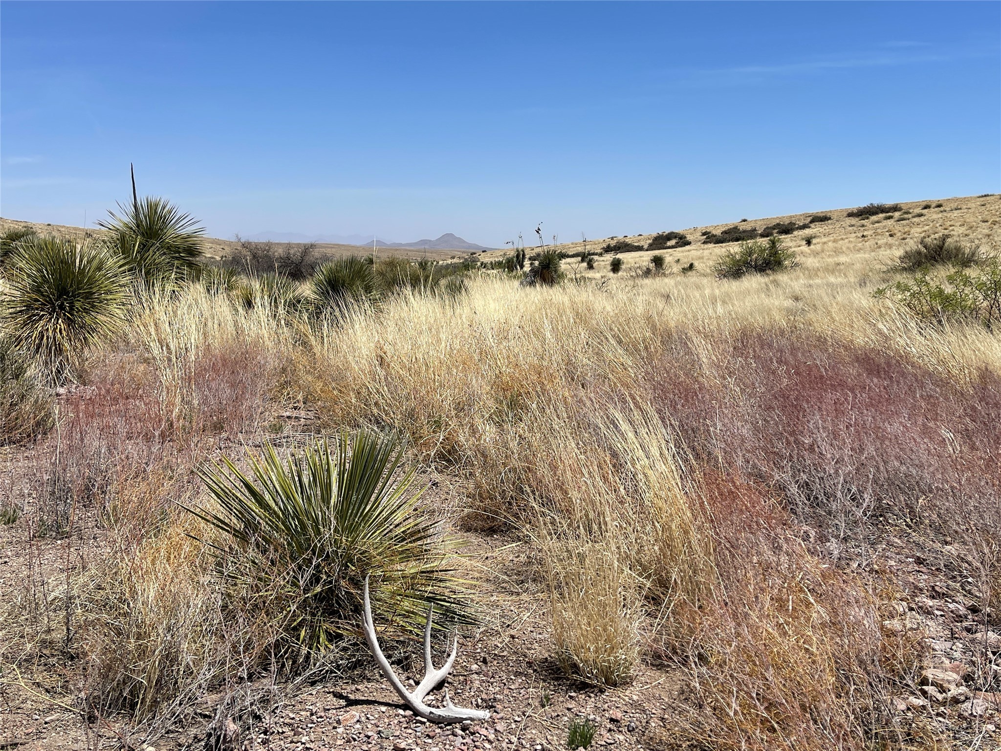 Pitchfork Ranch, Silver City, New Mexico image 18