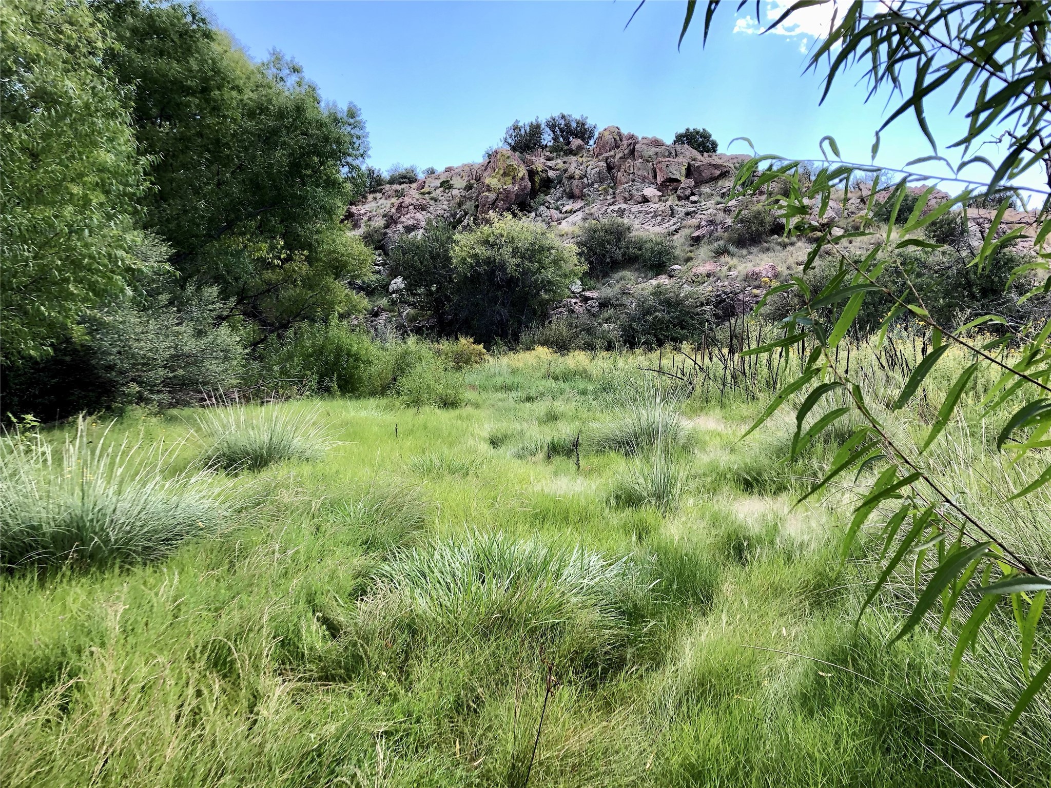 Pitchfork Ranch, Silver City, New Mexico image 21