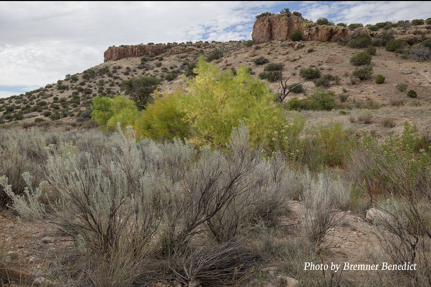 Pitchfork Ranch, Silver City, New Mexico image 28
