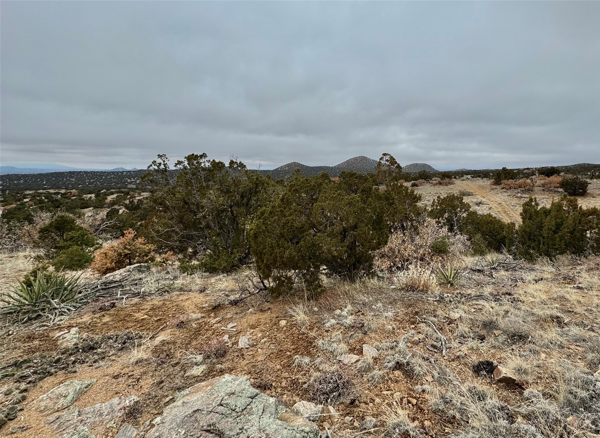Longview Drive, Santa Fe, New Mexico image 9