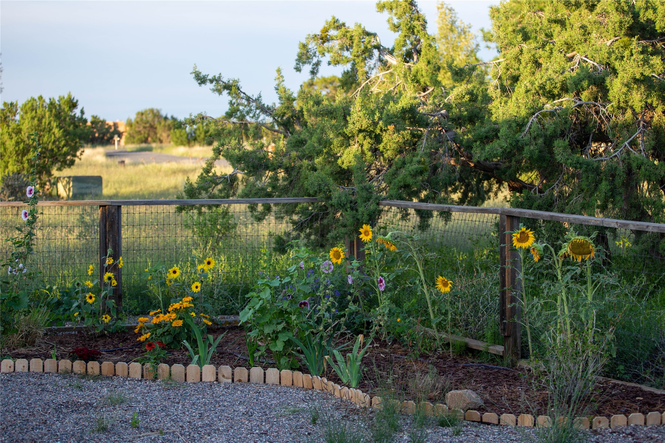 8 Balsa Road, Santa Fe, New Mexico image 31