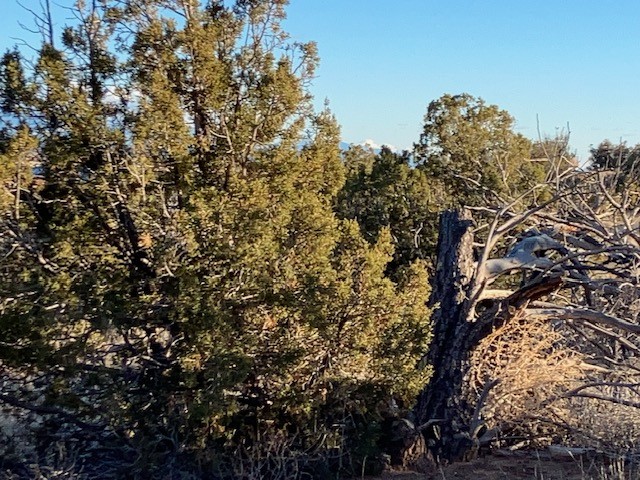 9 Acres Dulce Street, Abiquiu, New Mexico image 23