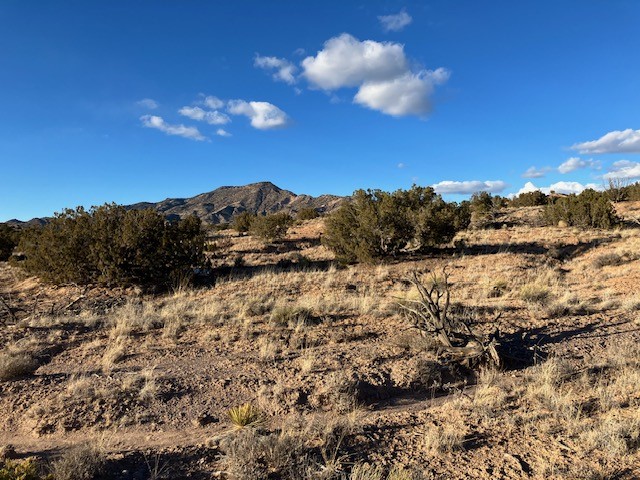 9 Acres Dulce Street, Abiquiu, New Mexico image 13