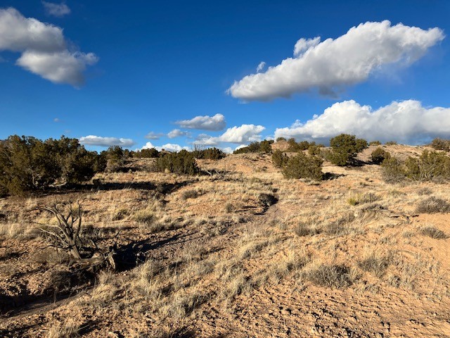 9 Acres Dulce Street, Abiquiu, New Mexico image 14