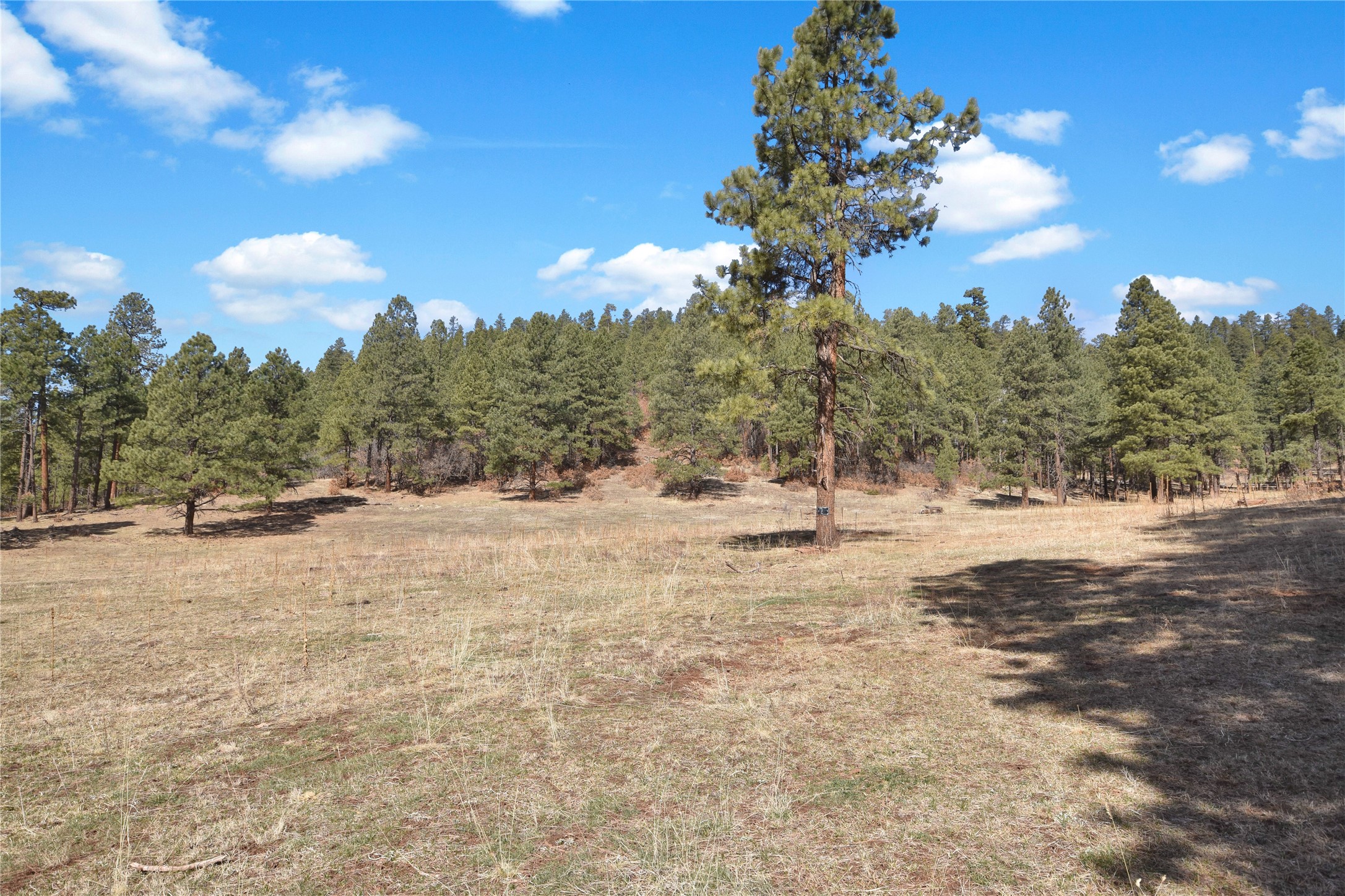 Nm State Rd 126, Jemez Springs, New Mexico image 18