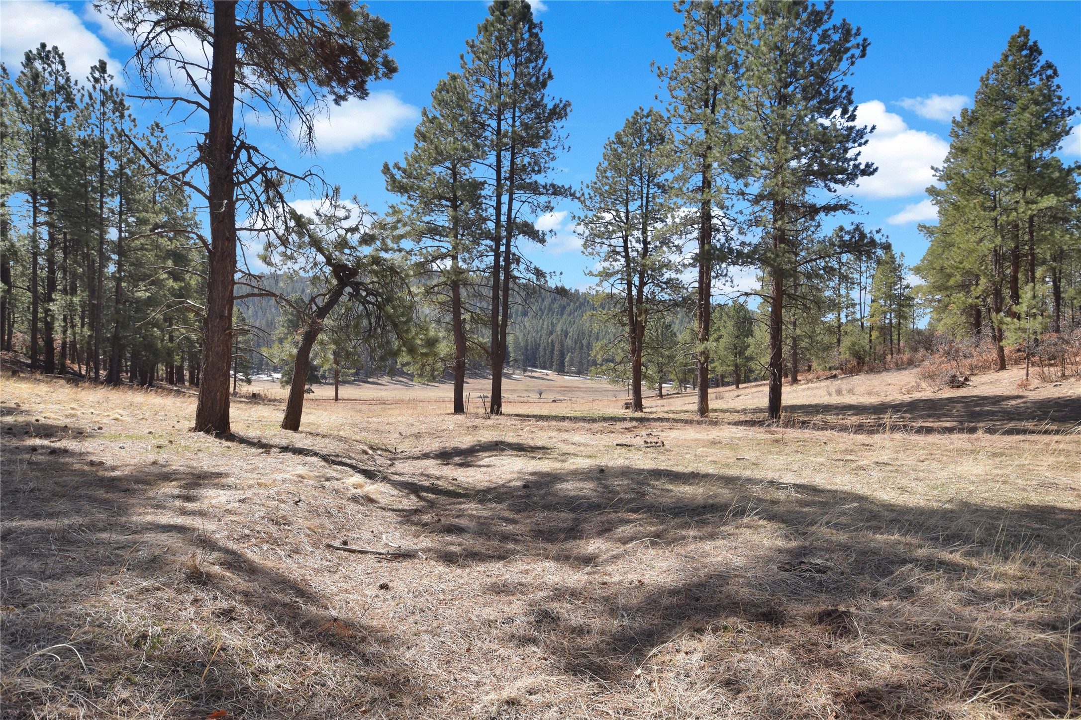 Nm State Rd 126, Jemez Springs, New Mexico image 13
