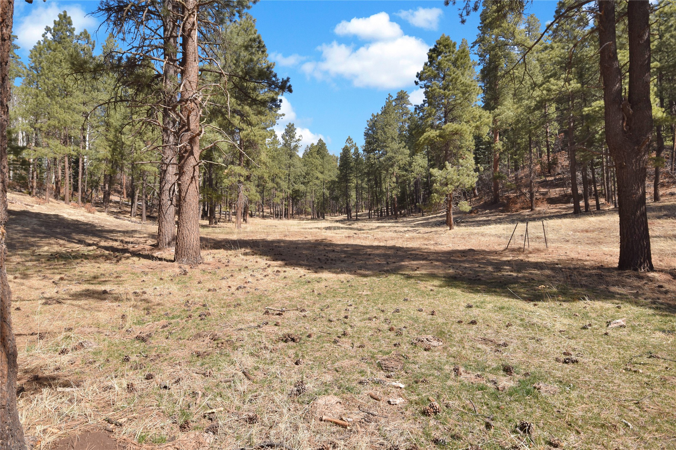 Nm State Rd 126, Jemez Springs, New Mexico image 10