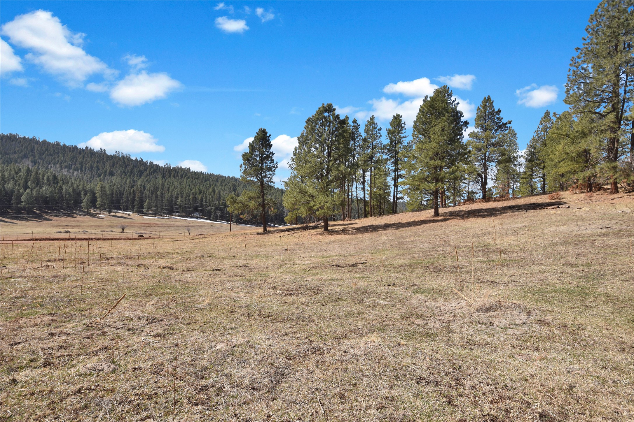 Nm State Rd 126, Jemez Springs, New Mexico image 7