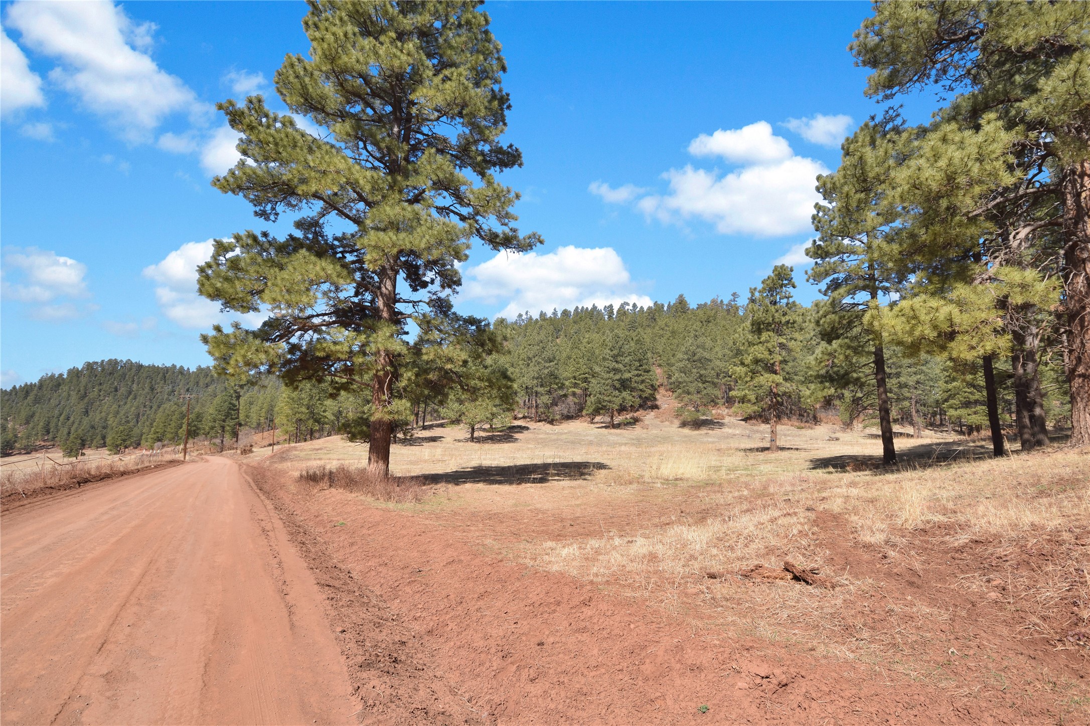 Nm State Rd 126, Jemez Springs, New Mexico image 2