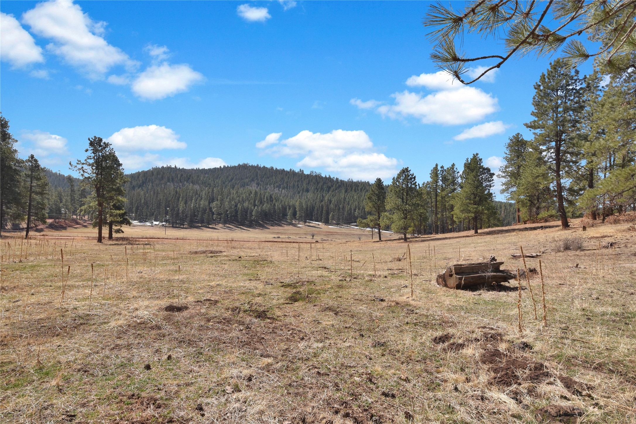 Nm State Rd 126, Jemez Springs, New Mexico image 9