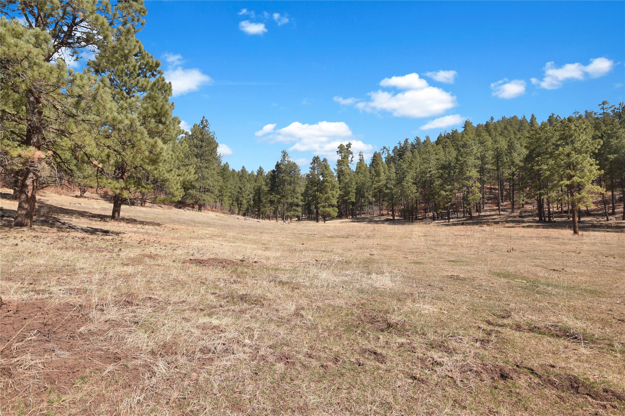 Nm State Rd 126, Jemez Springs, New Mexico image 4