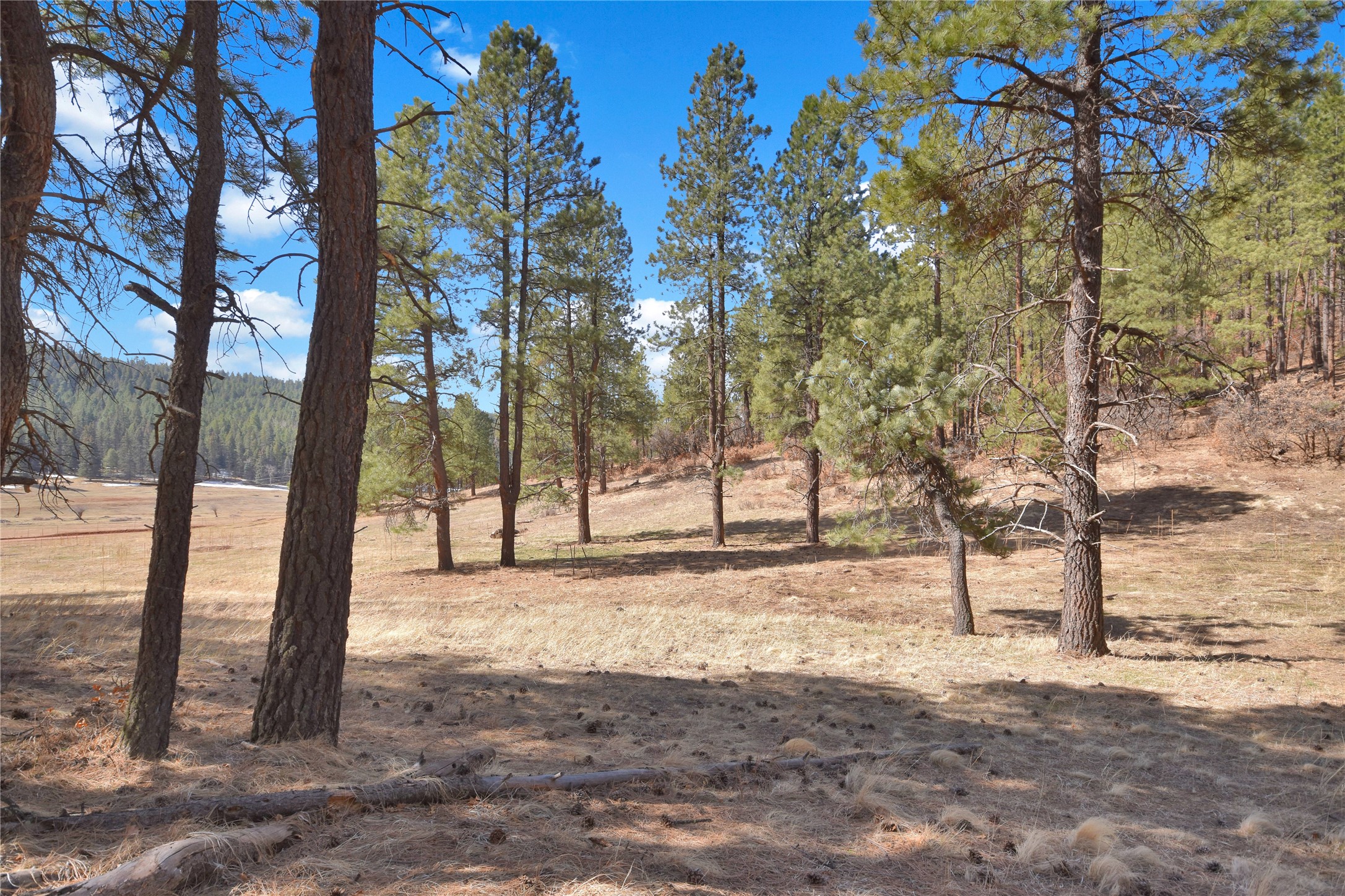 Nm State Rd 126, Jemez Springs, New Mexico image 12