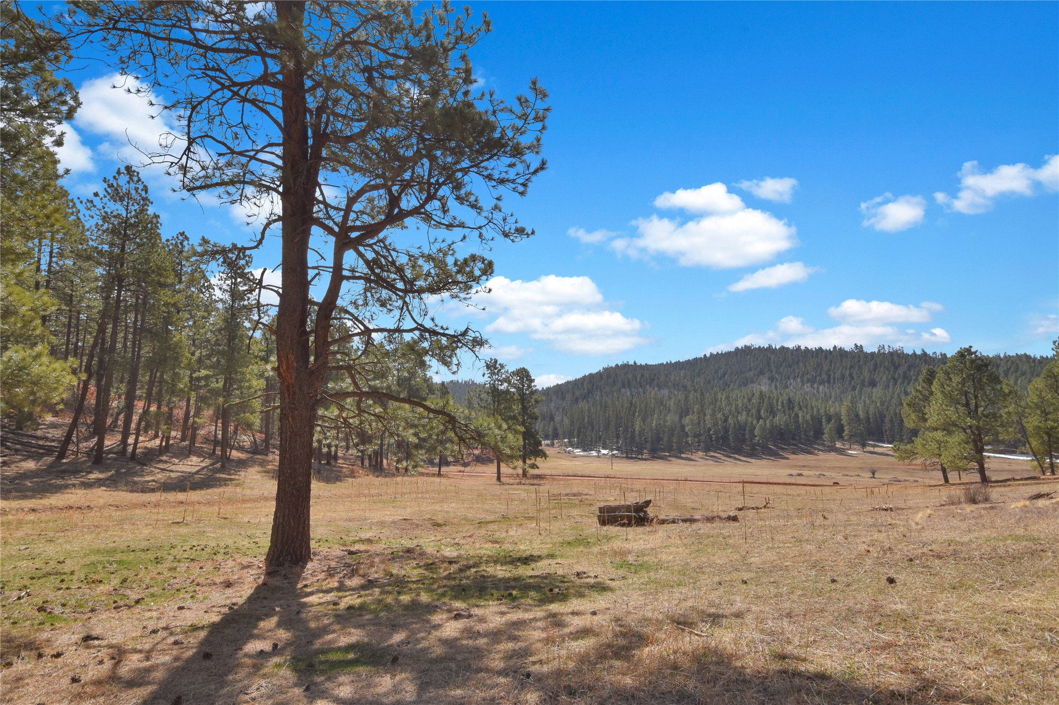Nm State Rd 126, Jemez Springs, New Mexico image 1