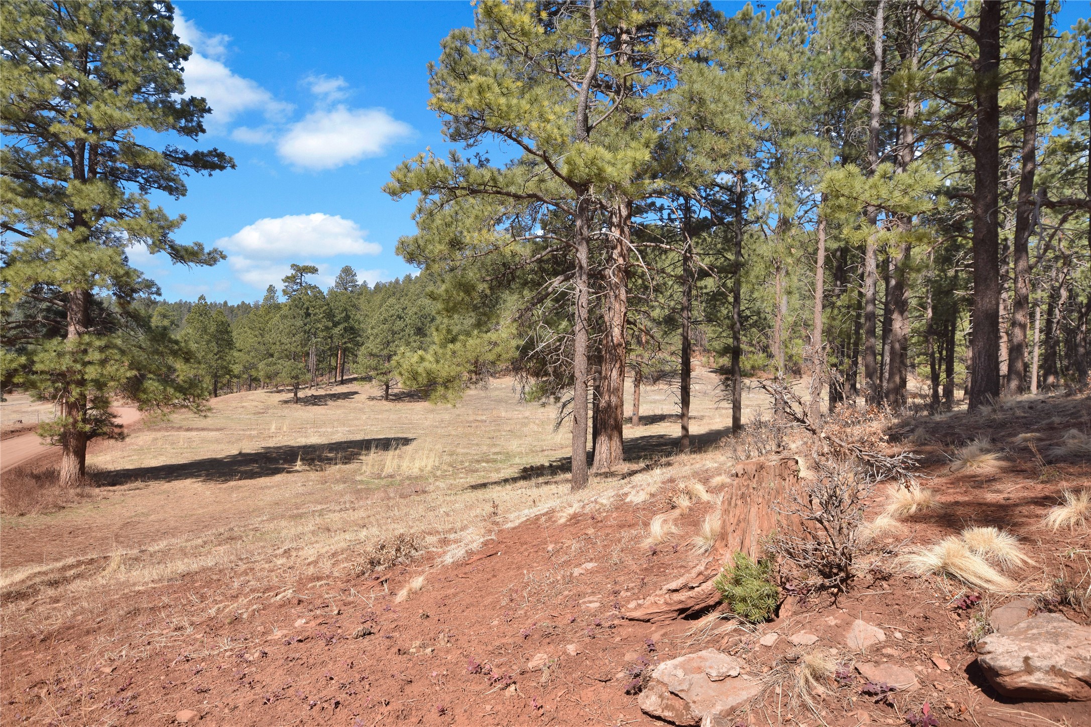 Nm State Rd 126, Jemez Springs, New Mexico image 19
