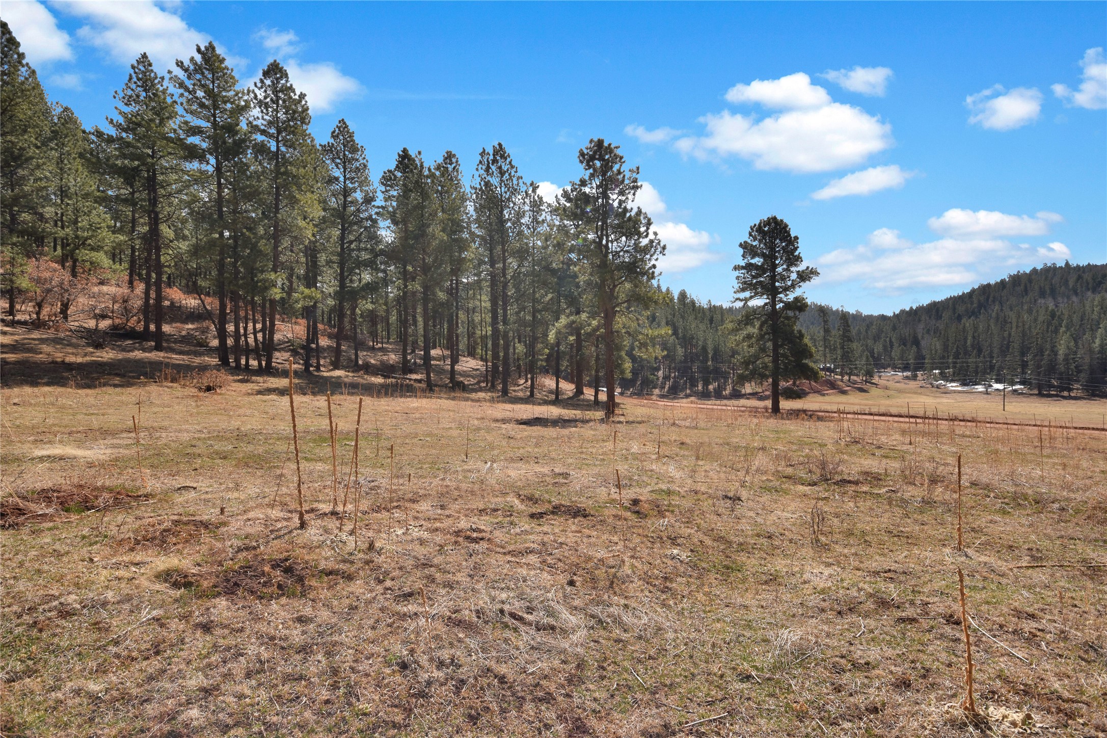 Nm State Rd 126, Jemez Springs, New Mexico image 8