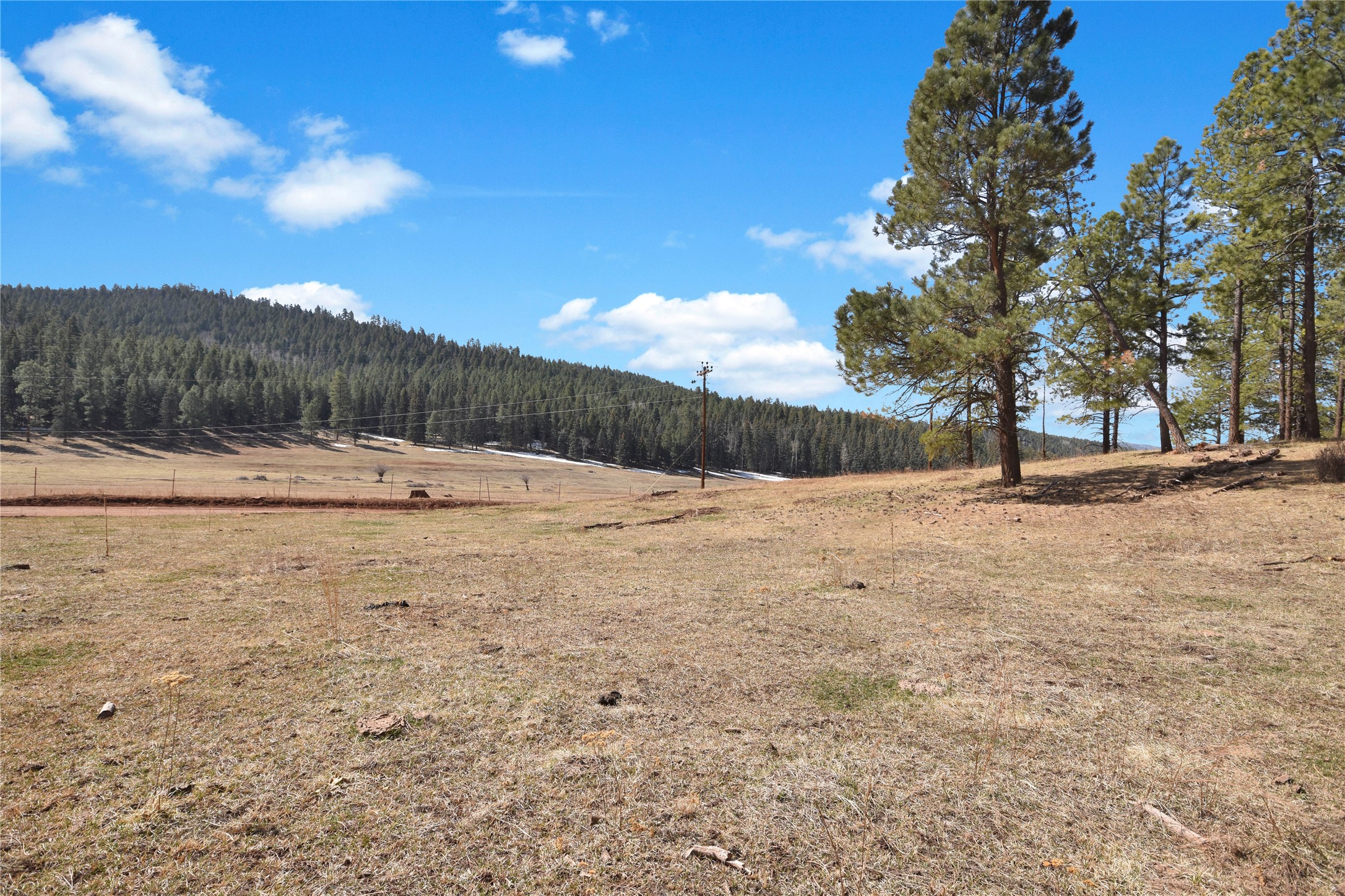 Nm State Rd 126, Jemez Springs, New Mexico image 6