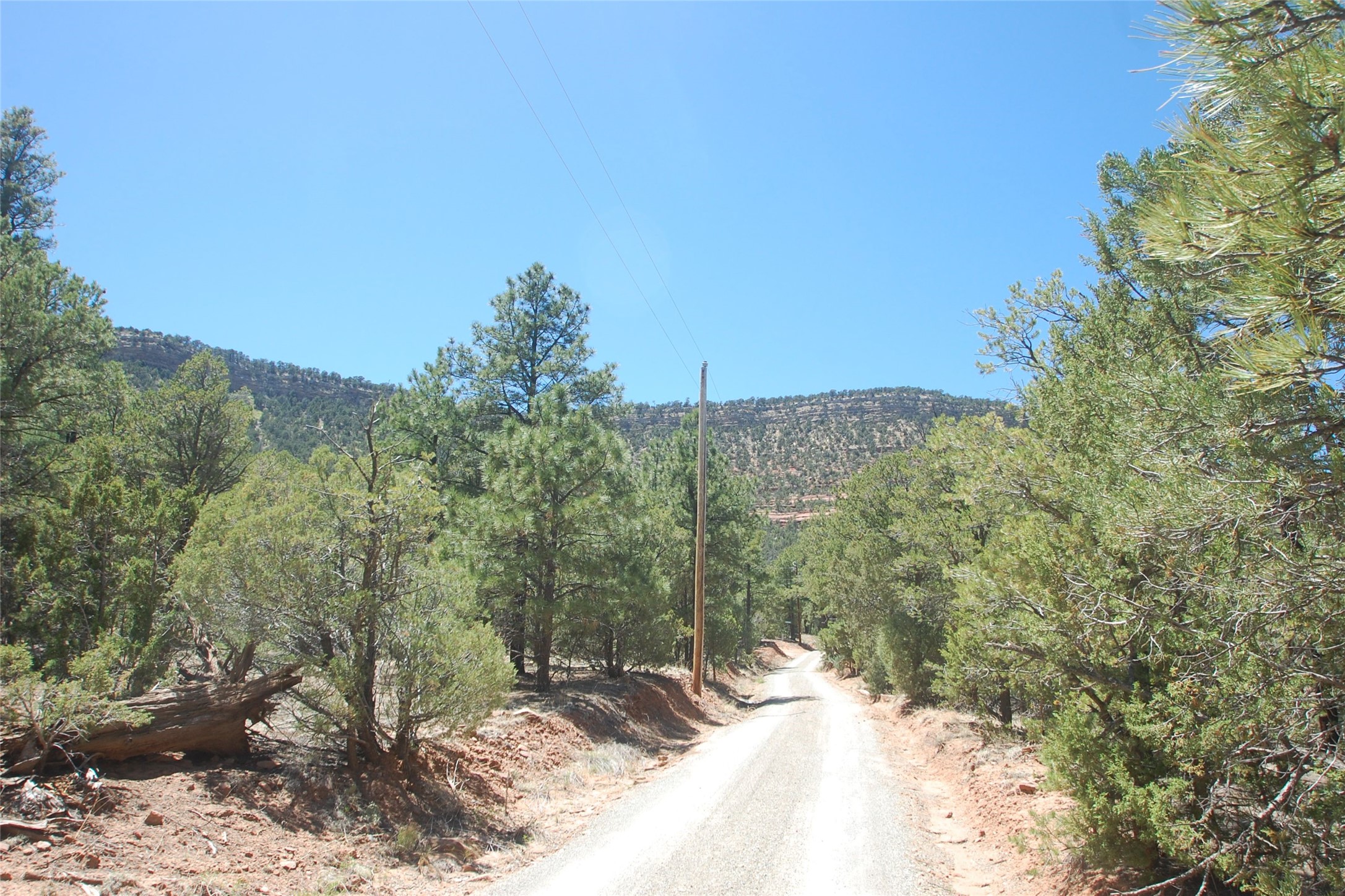 40 Raven Ridge Ln, Rowe, New Mexico image 3
