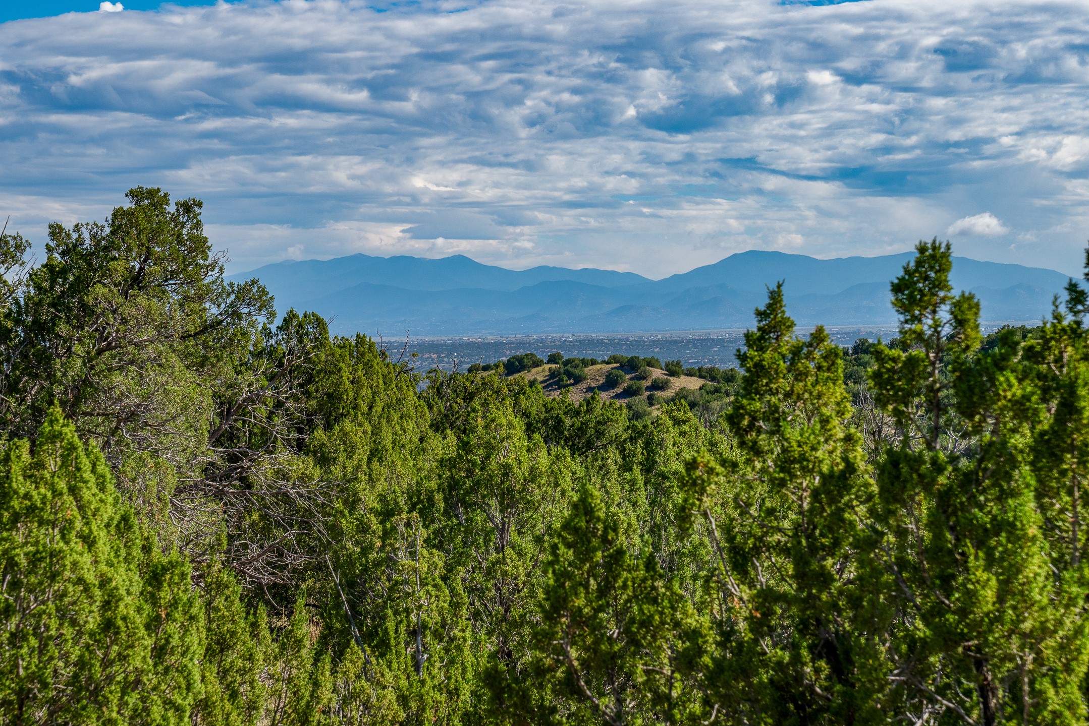 95 Grenfell Ranch & 30 Blue Agave Rd, Cerrillos, New Mexico image 2