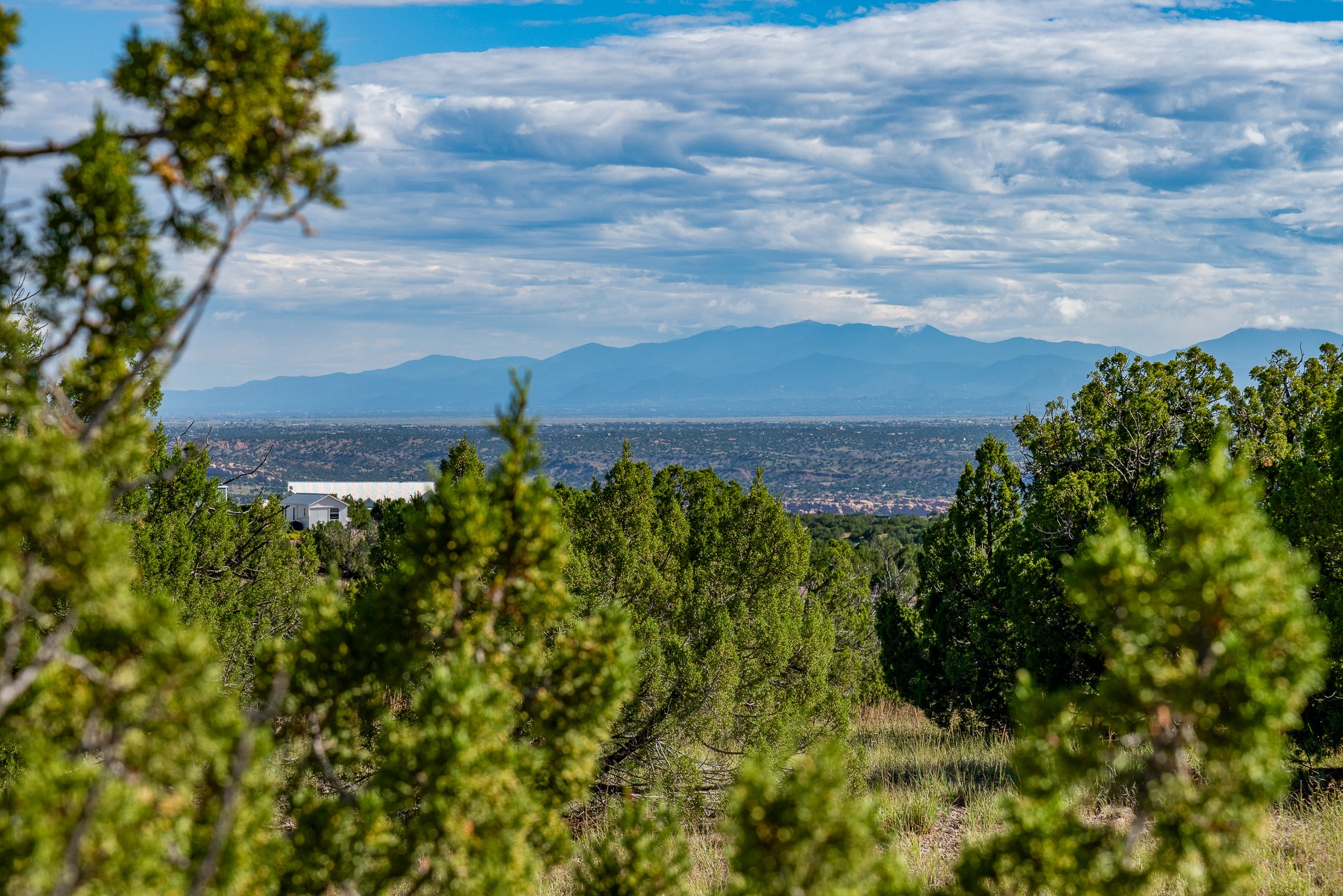 95 Grenfell Ranch & 30 Blue Agave Rd, Cerrillos, New Mexico image 48