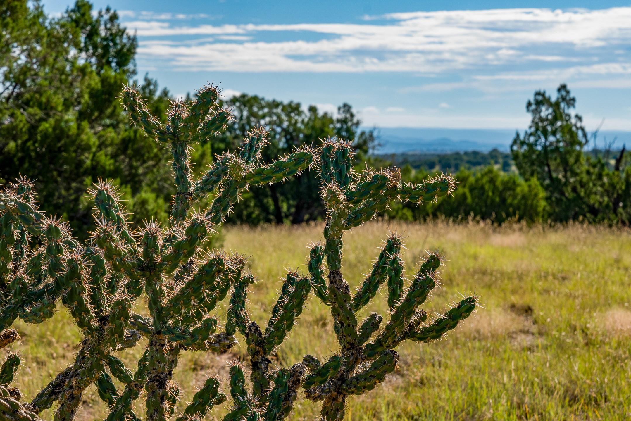 95 Grenfell Ranch & 30 Blue Agave Rd, Cerrillos, New Mexico image 21