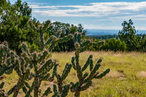 Tiny photo for 95 Grenfell Ranch & 30 Blue Agave Rd, Cerrillos, NM 87010 (MLS # 202403625)