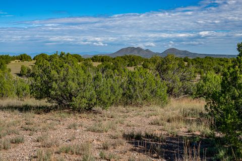 Tiny photo for 95 Grenfell Ranch & 30 Blue Agave Rd, Cerrillos, NM 87010 (MLS # 202403625)