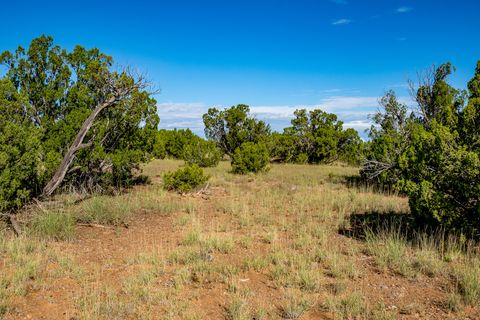 Tiny photo for 95 Grenfell Ranch & 30 Blue Agave Rd, Cerrillos, NM 87010 (MLS # 202403625)