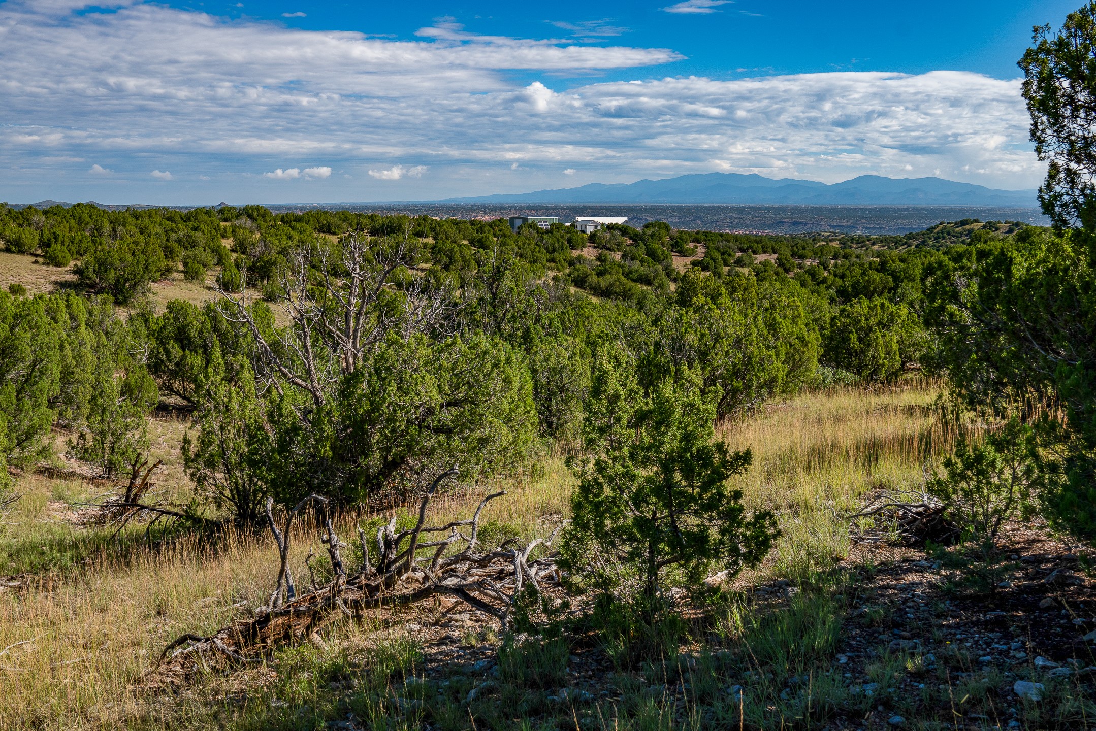 95 Grenfell Ranch & 30 Blue Agave Rd, Cerrillos, New Mexico image 50