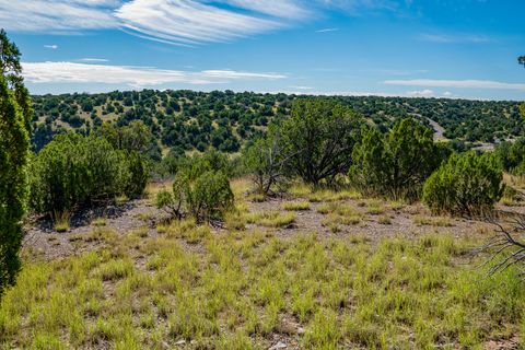 Tiny photo for 95 Grenfell Ranch & 30 Blue Agave Rd, Cerrillos, NM 87010 (MLS # 202403625)