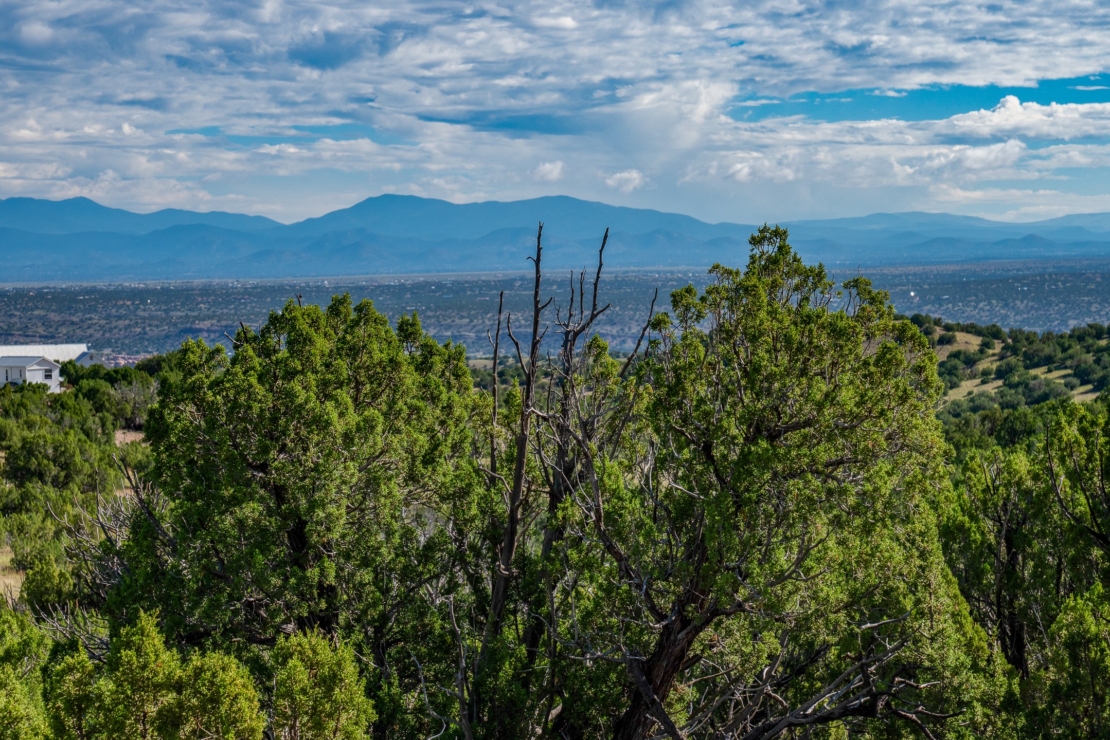 95 Grenfell Ranch & 30 Blue Agave Rd, Cerrillos, New Mexico image 39