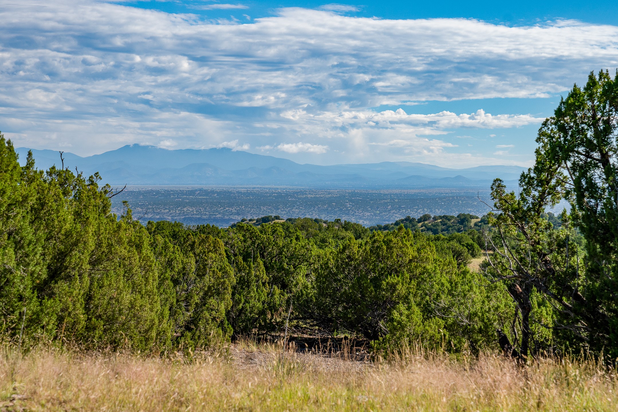 95 Grenfell Ranch & 30 Blue Agave Rd, Cerrillos, New Mexico image 11