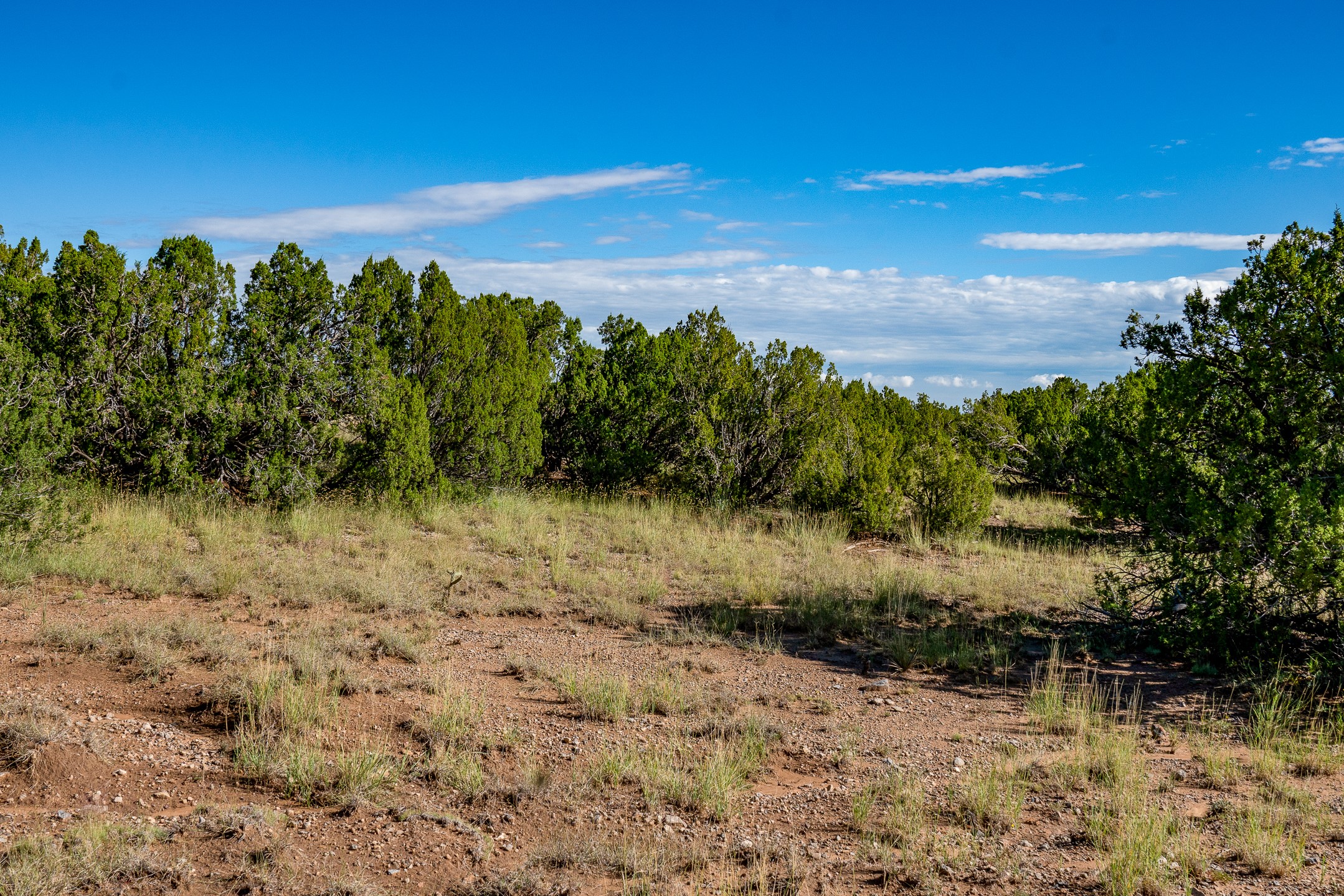 95 Grenfell Ranch & 30 Blue Agave Rd, Cerrillos, New Mexico image 16