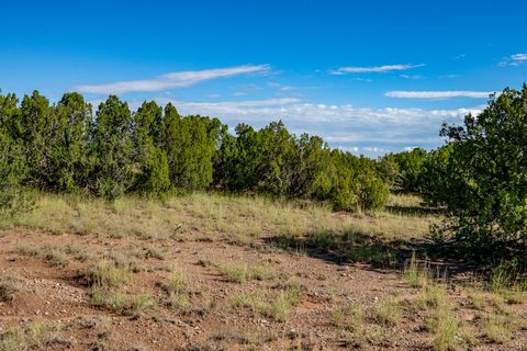 Tiny photo for 95 Grenfell Ranch & 30 Blue Agave Rd, Cerrillos, NM 87010 (MLS # 202403625)