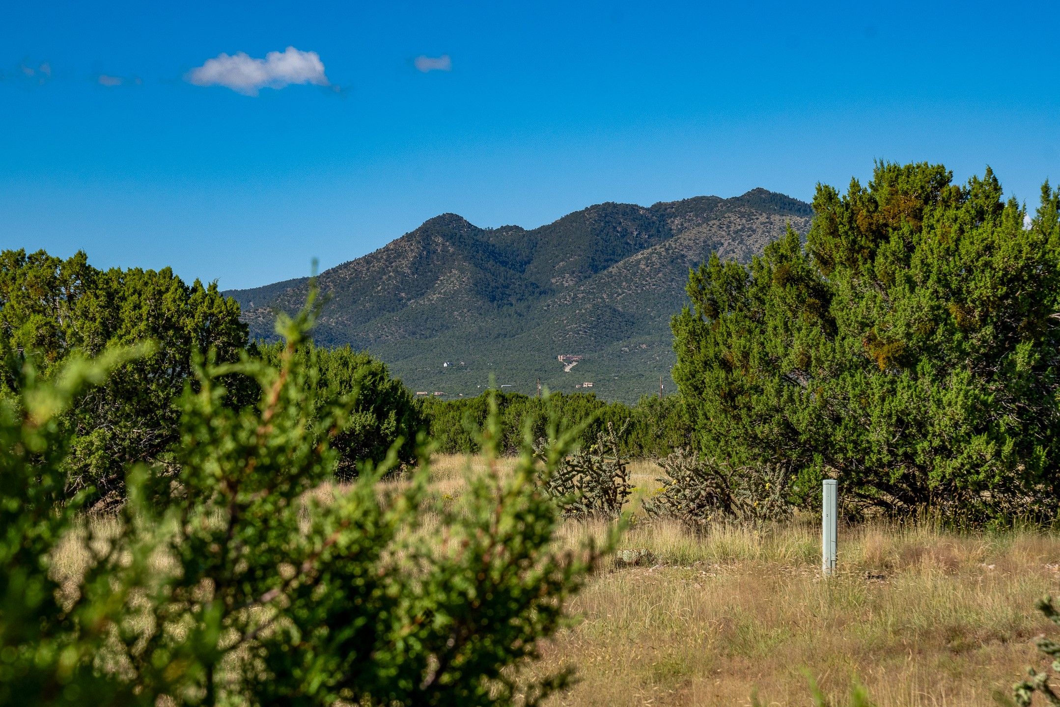 95 Grenfell Ranch & 30 Blue Agave Rd, Cerrillos, New Mexico image 5