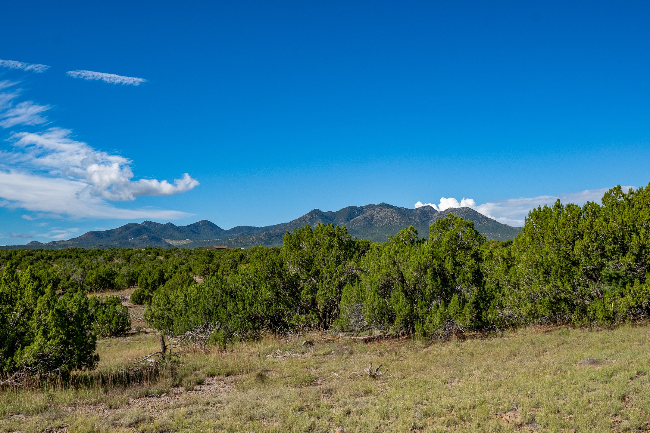 95 Grenfell Ranch & 30 Blue Agave Rd, Cerrillos, New Mexico image 6