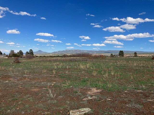 20.535 Acres Cr 425, Coyote, New Mexico image 15