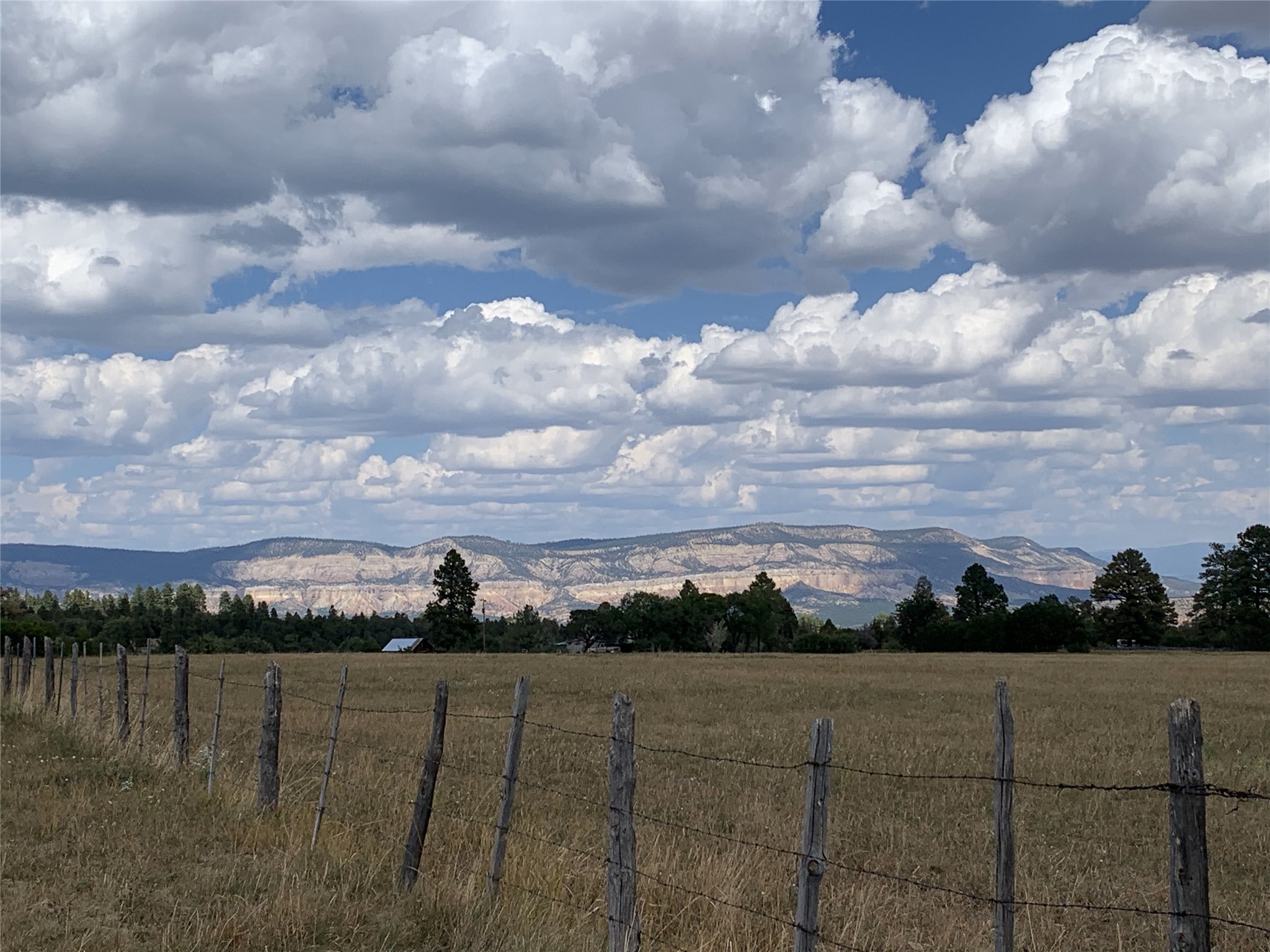 20.535 Acres Cr 425, Coyote, New Mexico image 35