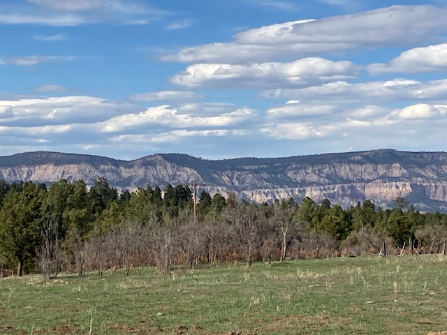 20.535 Acres Cr 425, Coyote, New Mexico image 28