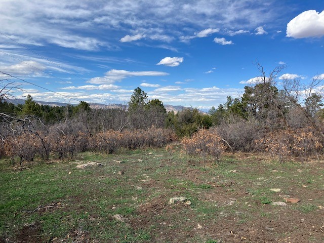 20.535 Acres Cr 425, Coyote, New Mexico image 12