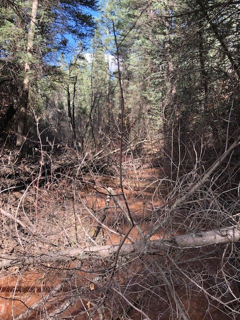 20.535 Acres Cr 425, Coyote, New Mexico image 41