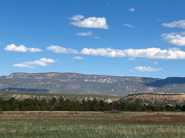 20.535 Acres Cr 425, Coyote, New Mexico image 19