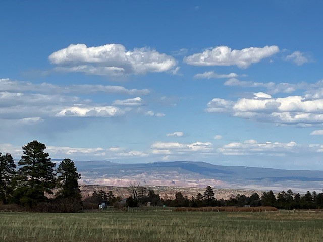 20.535 Acres Cr 425, Coyote, New Mexico image 25