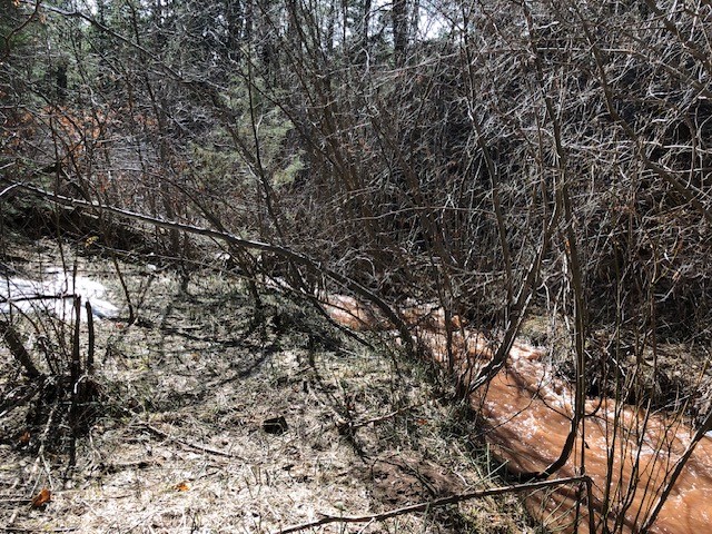 20.535 Acres Cr 425, Coyote, New Mexico image 38