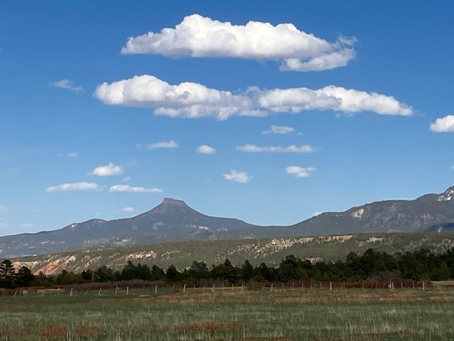 20.535 Acres Cr 425, Coyote, New Mexico image 4