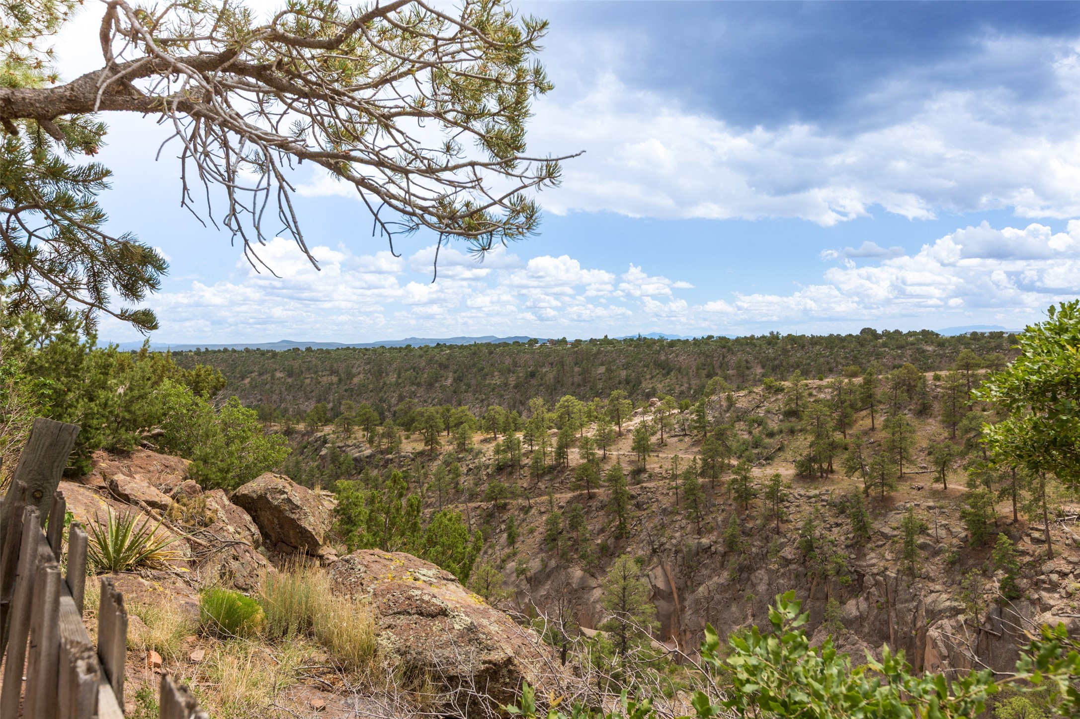 215 San Juan St St, Los Alamos, New Mexico image 36