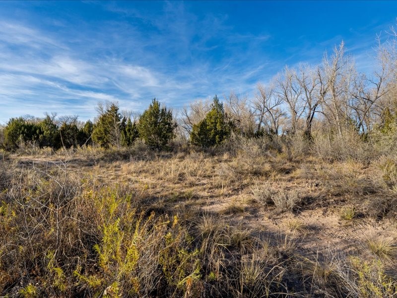 00 Hwy 142, Medanales, New Mexico image 6